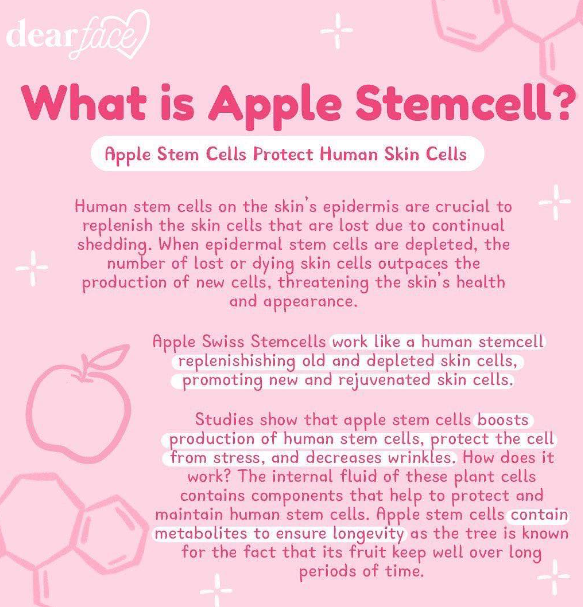 Dear Face Beauty Milk Lychee Swiss StemCell Drink