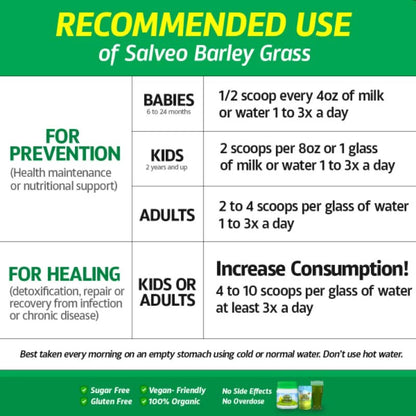 Salveo Barley Grass Juice Powder (Pure & Organic) 240grams